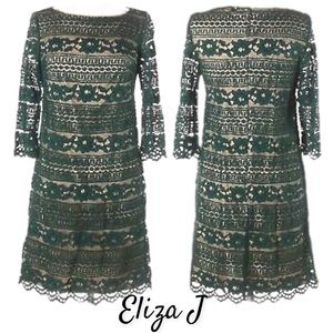 NWOT Eliza J Green Lace Shift Dress Size 8
